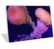 jellyfish-laptop